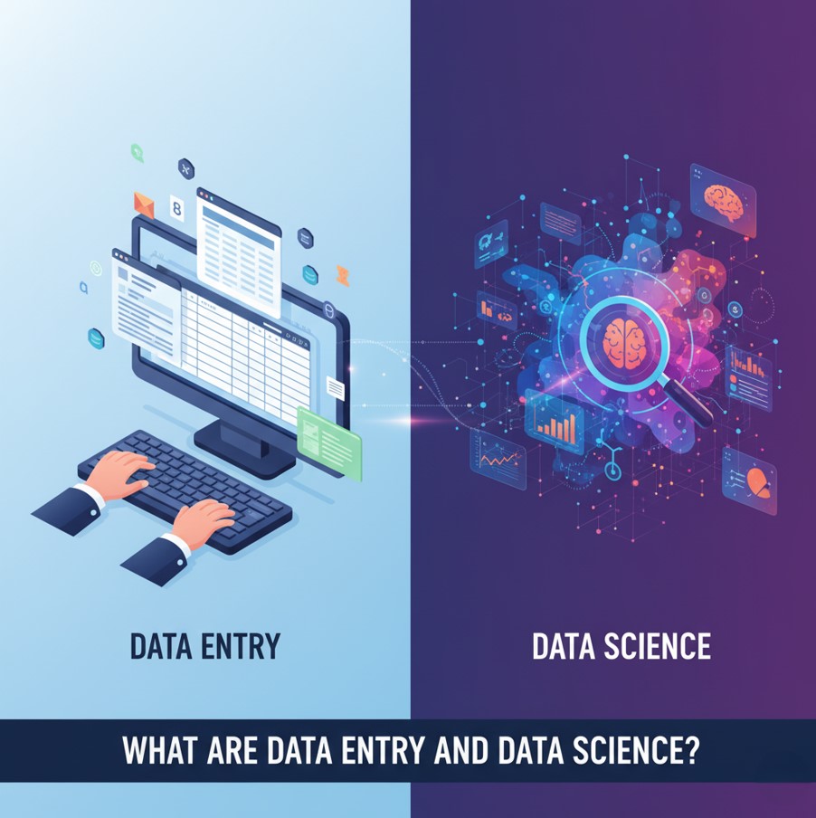 What Are Data Entry and Data Science 